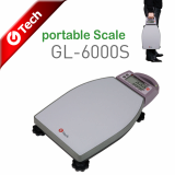 Portable bench scale